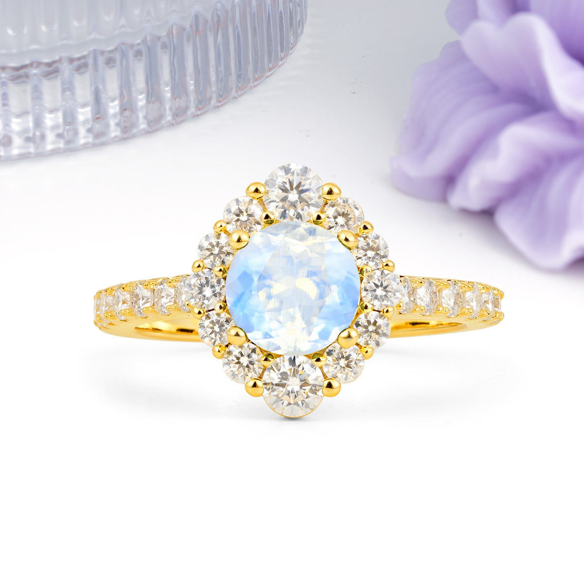 Unique Pavé Setting, Luxurious 4-Prong Round Cut Moonstone Engagement Ring - Additional view